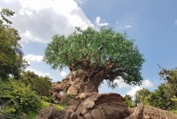 Disney_Animal_Kingdom_6.jpg