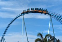 SeaWorld_Orlando_223.jpg