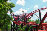 Six_Flags_St_Louis_2.jpg